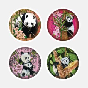 40224 Pandas Posing 2