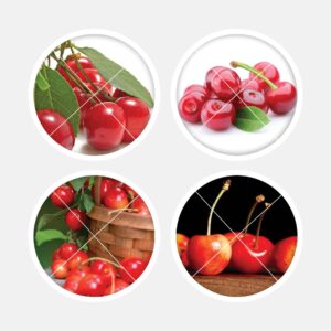 40307 Cherries