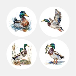 40552 Hunting Mallards