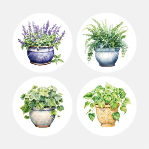 40467 House Plants