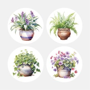 40468 House Plants 2